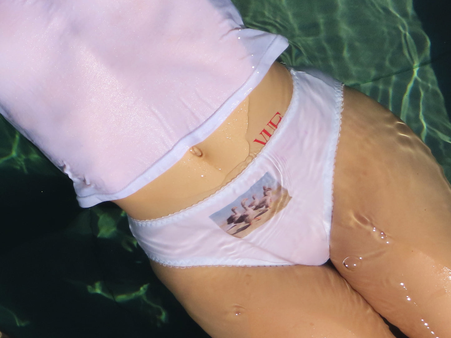 DUCKS PANTIES